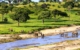 Africa-Tanzania-Serengeti-Elephants