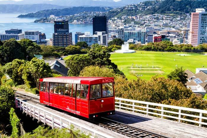 wellington thumb - Really, Super Cool Things to Check Out in Wellington!