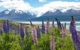 Mount Cook National Park Canterbury New Zealand