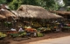 Uganda fruit market