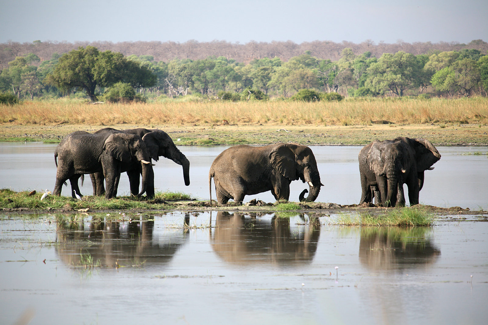 africa overland safari