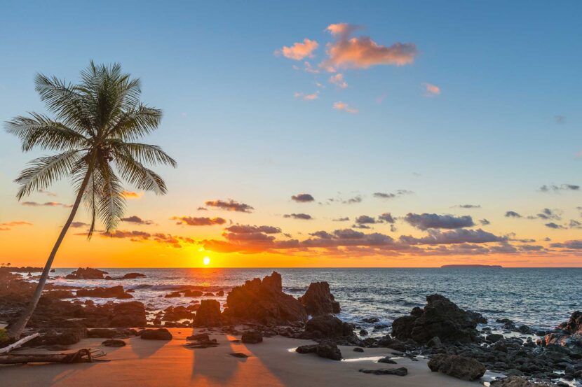 costa rica palm tree beach - Covid-19 Update – April 2021