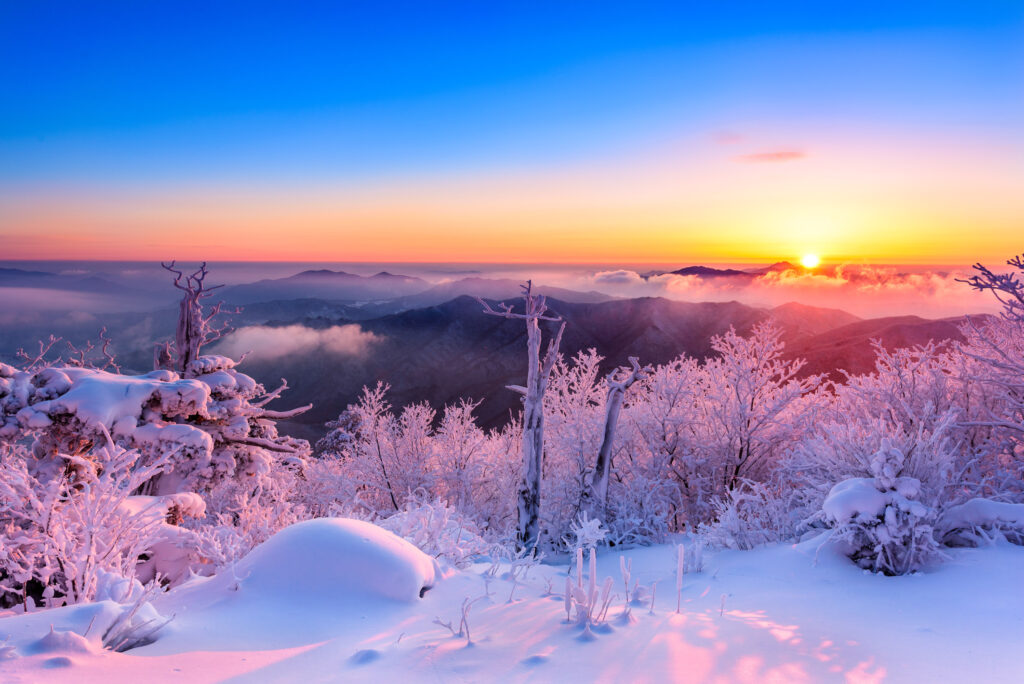 3820145201700054k Beautiful Snowscape of Korea - FREE Virtual Walking Tour in Seoul!