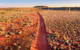 australia-northern-territory-red-centre-ayers-rock-uluru