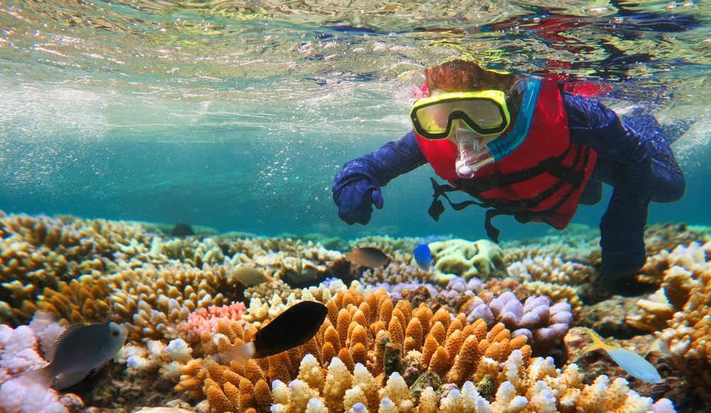 great-barrier-reef-diving-in-queensland-australia