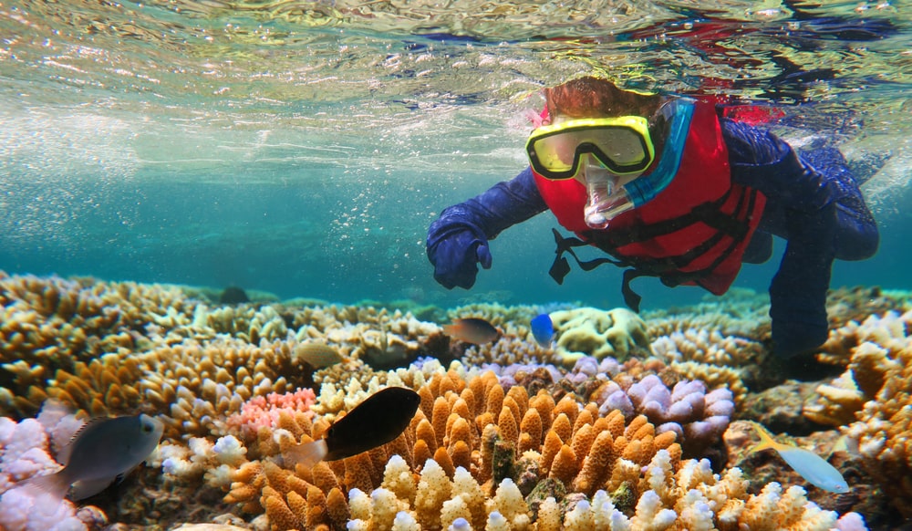 great-barrier-reef-australia-diving