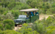south africa game drive addo big five