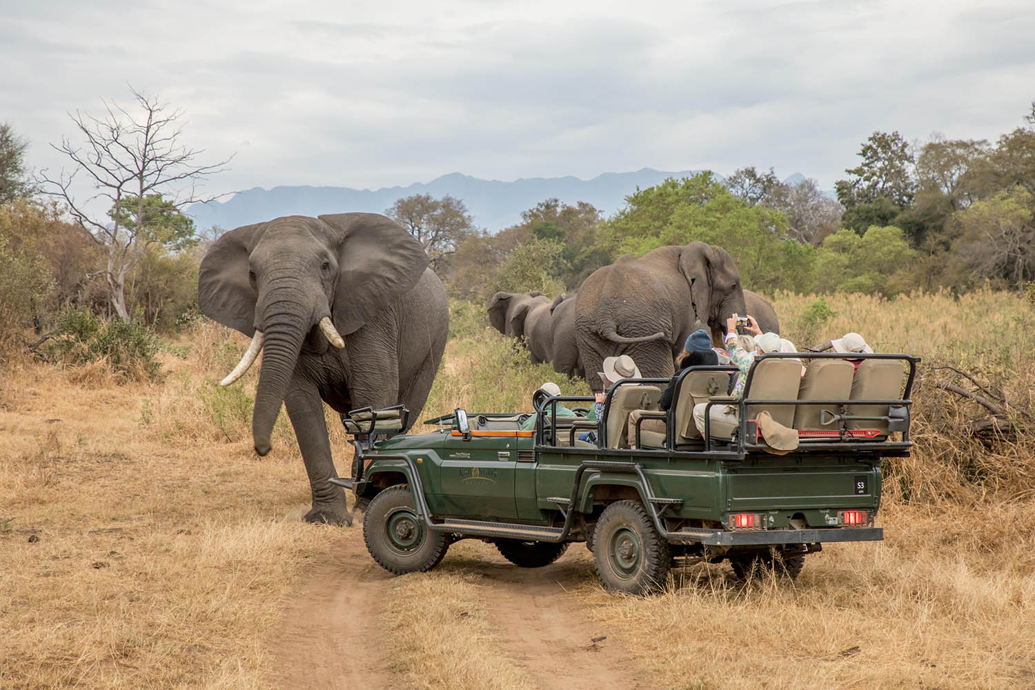 7 Days South Africa - Cape Town & Kruger Package | African Vacation ...
