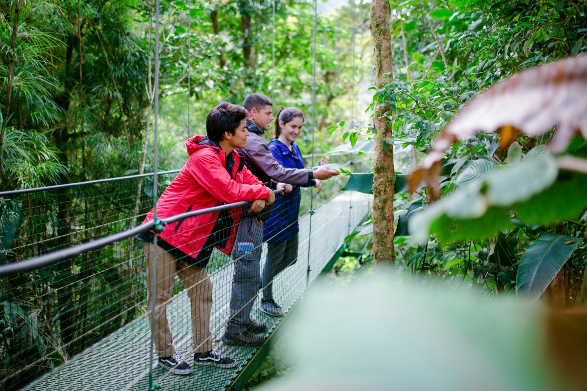 Costa Rica Monteverde Sky Walk - Romantic Vacations and Trips for Couples