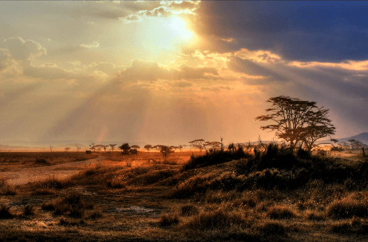 Africa Sunset Image