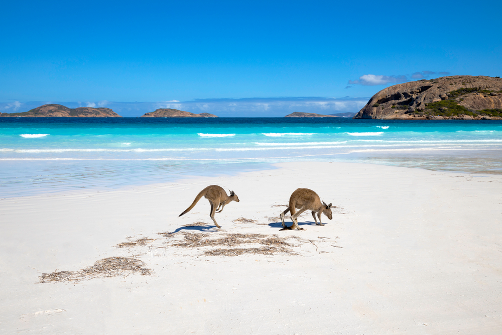 Downunder Travel Australia vacation packages