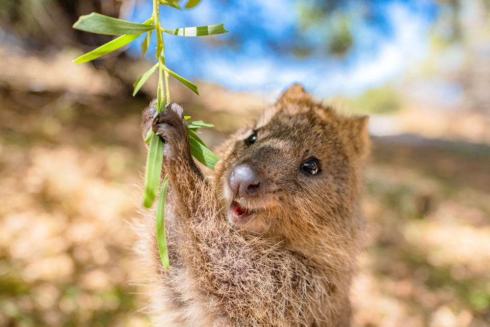 Iconic Destinations to Explore Australia