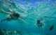 fiji-lomani-snorkelling