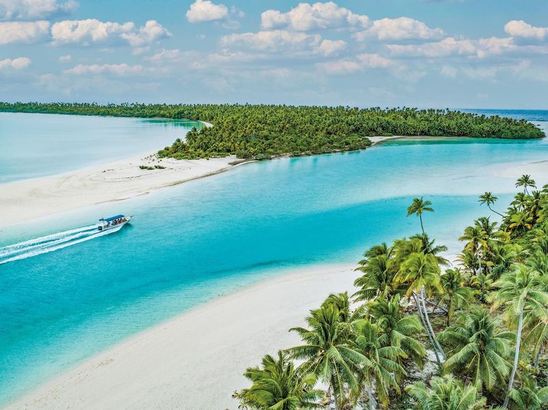 Beach With Trees