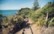 new-zealand-auckland-waiheke-island-oneroa TA