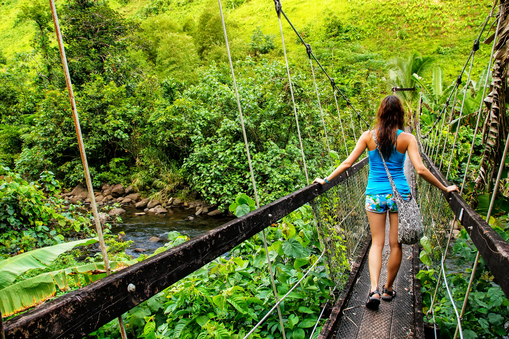 Adventure Parks - Family Fun in Fiji: The Best Family Activities on the Islands