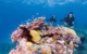 australia-qld-great-barrier-reef-ribbon-reef-challenger-bay