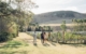 new-zealand-auckland-waiheke TA
