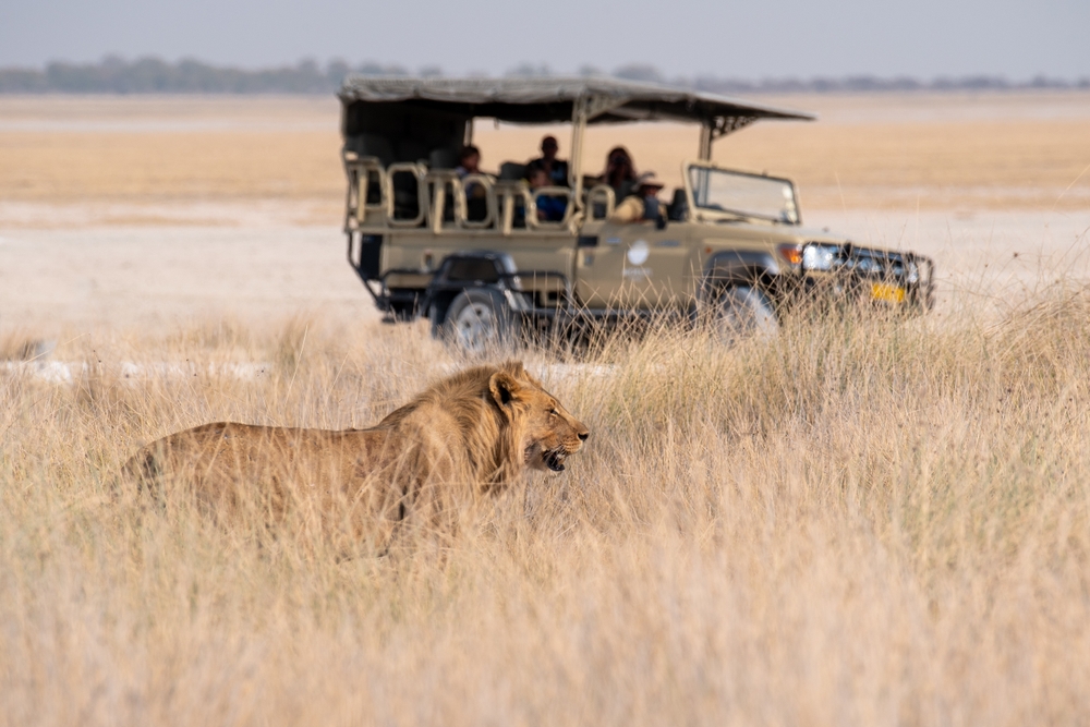 Serengeti Family Safari Tour - Unforgettable Father’s Day Getaways Your Dad Will Love