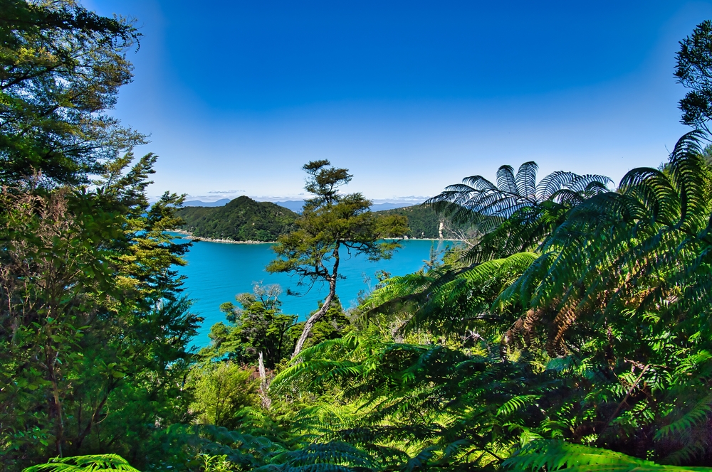 The Kiwi Way Tour - Discover New Zealand on Foot: Hiking & Walking Adventures