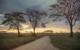 GAdv-africa-Tanzania Serengeti Sunset Landscape