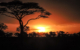 GAdv-africa-Tanzania Serengeti Sunset