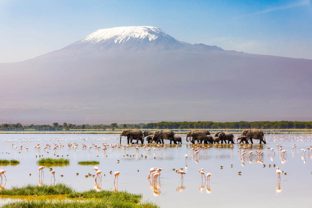 Discover the Wonders of Kilimanjaro From Peaks to Plains - Discover the Wonders of Kilimanjaro: From Peaks to Plains