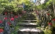 japan-Miyajima-stairs-Coral-Expeditions