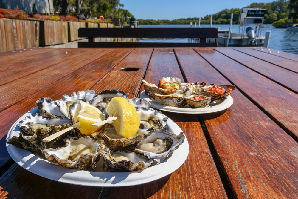 The Bluffs Oyster Shack - Taste Your Way Through New Zealand: Foodie Stops to Add to Your Road Trip